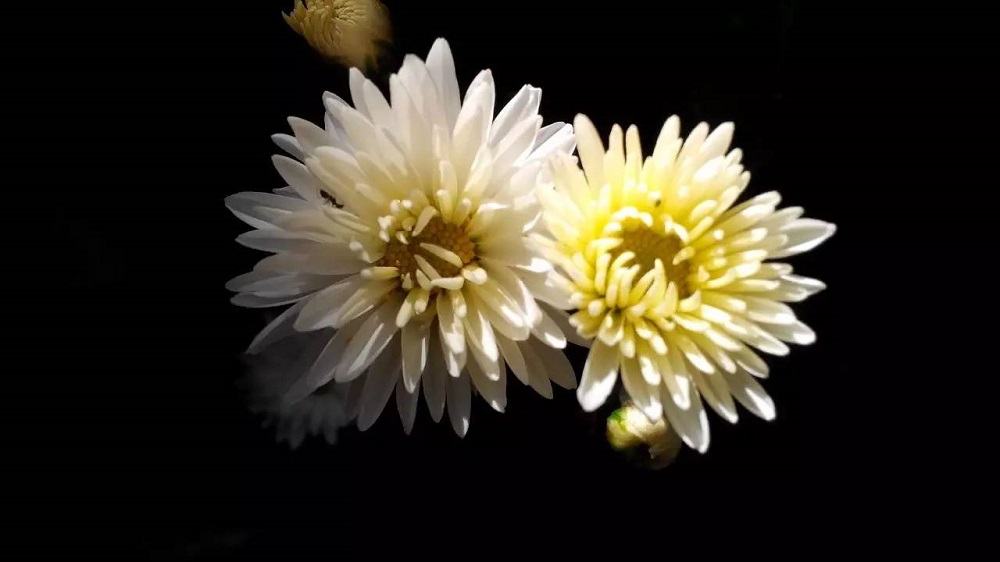 沉痛哀悼，深切緬懷江澤民同志